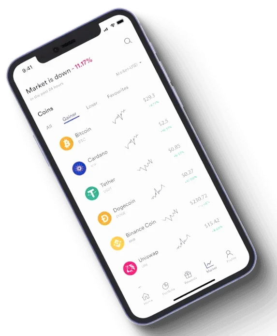 Plazentia Pro análisis financiero